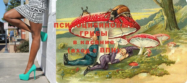 apvp Баксан