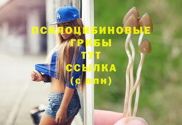 apvp Баксан