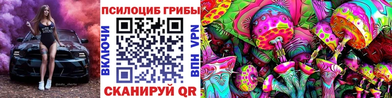 Псилоцибиновые грибы Magic Shrooms купить наркотик Дигора